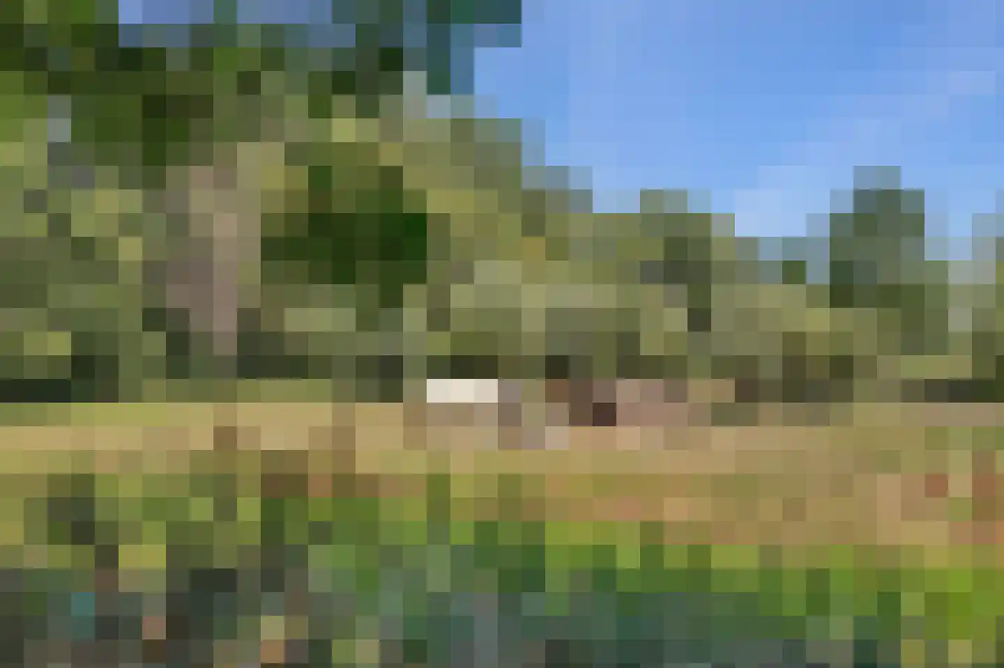 Kalixfors 10 Schiedam thumbnail 39