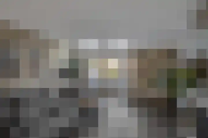 Kalixfors 18 Schiedam thumbnail 10