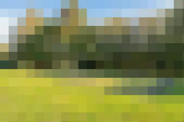 Kalixfors 18 Schiedam thumbnail 7