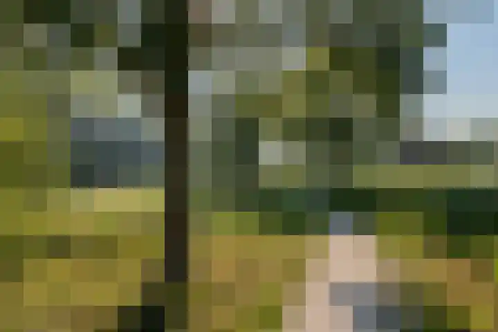 Kalixfors 18 Schiedam thumbnail 8