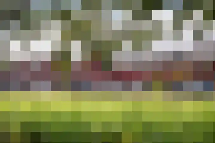Kalixfors 19 Schiedam thumbnail 25