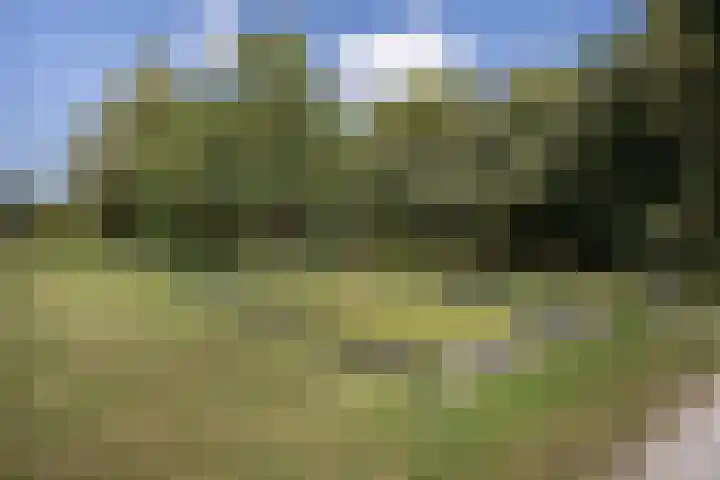 Kalixfors 19 Schiedam thumbnail 27