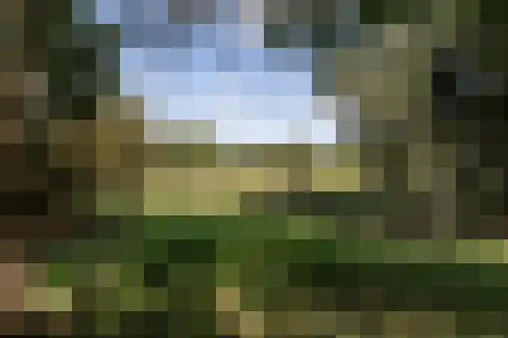 Kalixfors 19 Schiedam thumbnail 28