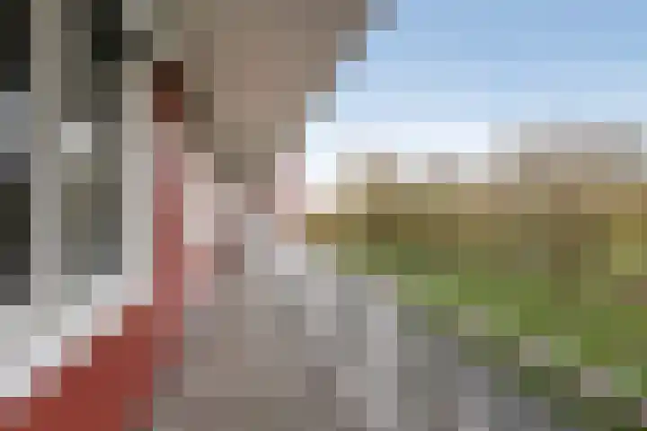 Kalixfors 49 Schiedam thumbnail 21