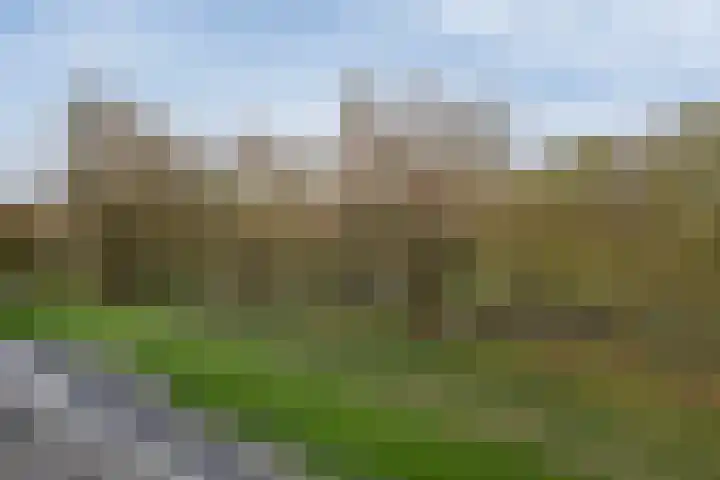 Kalixfors 49 Schiedam thumbnail 24