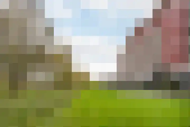 Kalixfors 49 Schiedam thumbnail 27