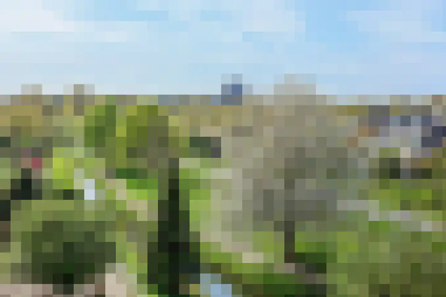Kalixfors 86 Schiedam thumbnail 29