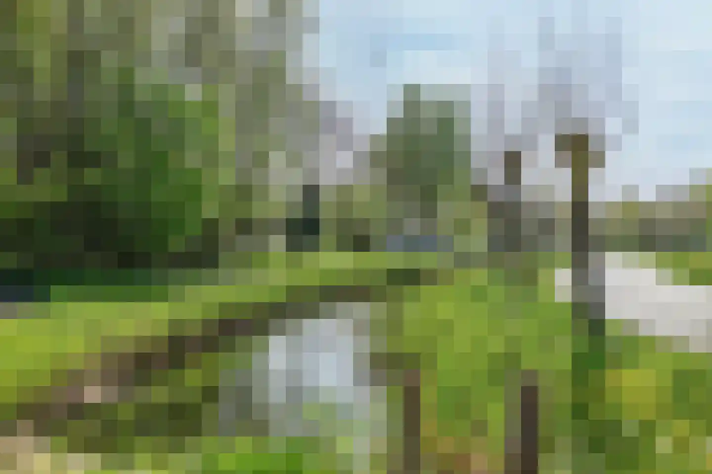 Kalixfors 86 Schiedam thumbnail 35