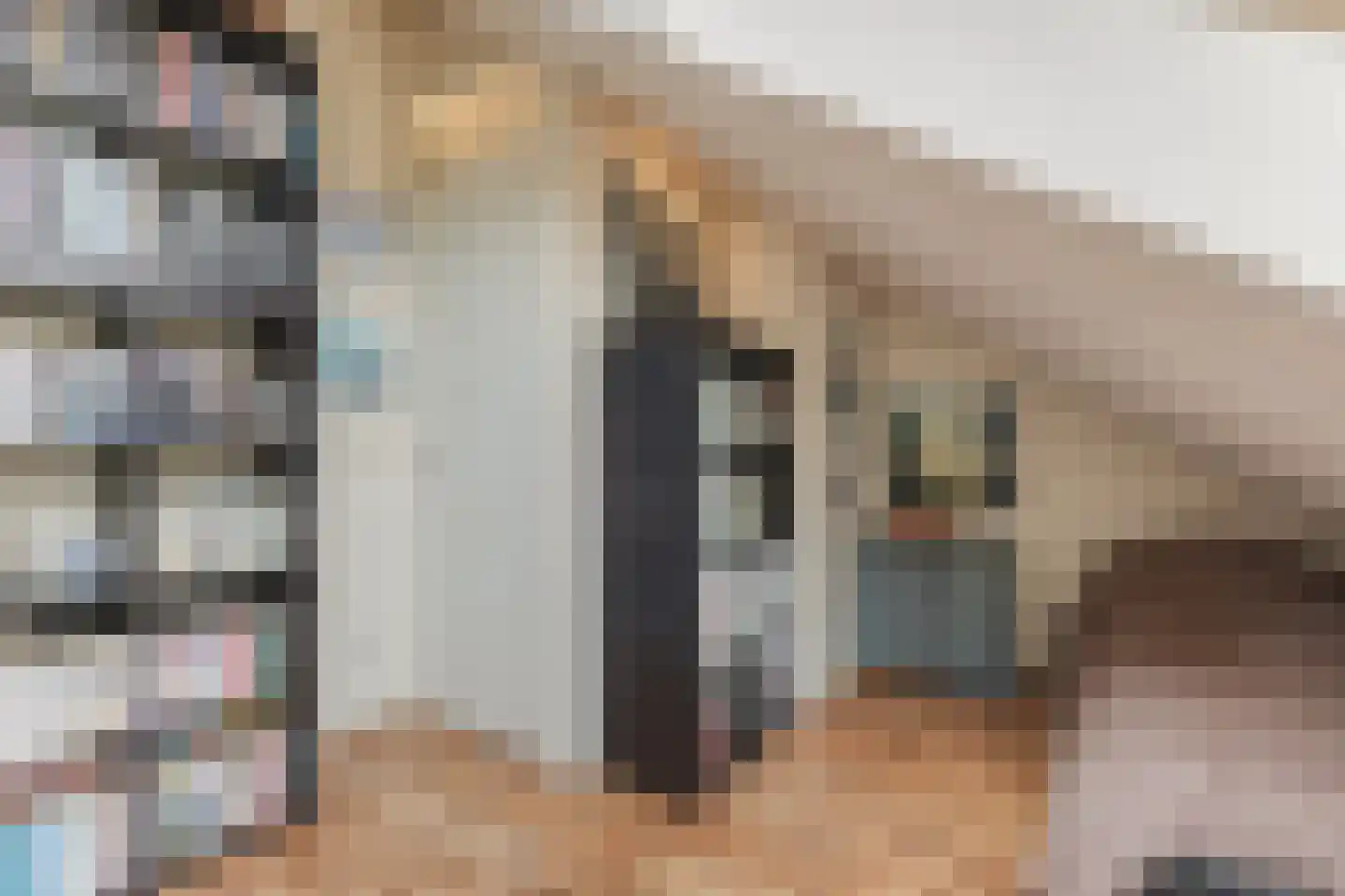 Kalixfors 9 Schiedam thumbnail 29