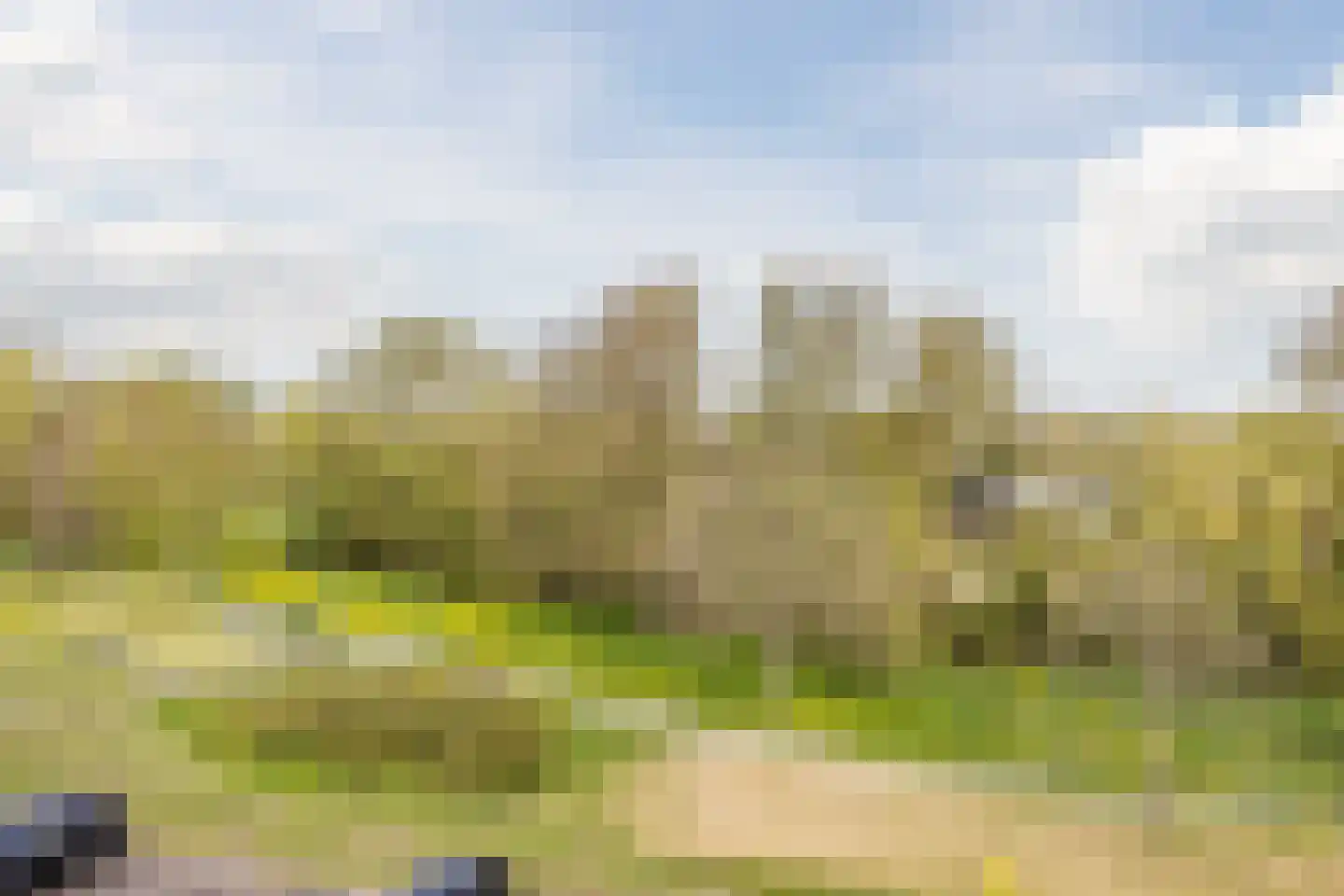 Kalixfors 9 Schiedam thumbnail 31