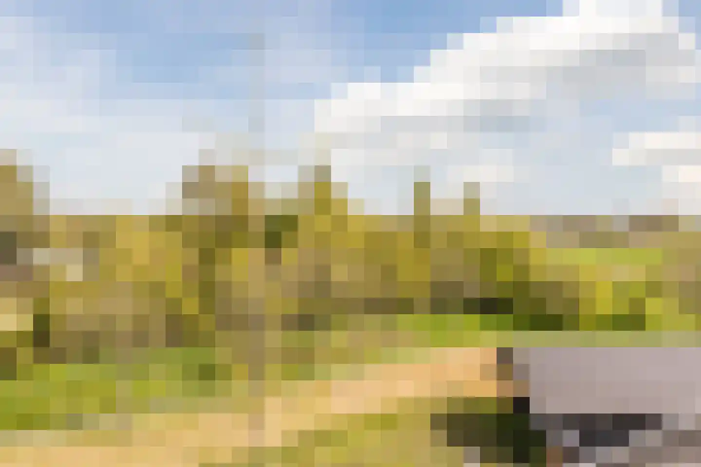 Kalixfors 9 Schiedam thumbnail 32