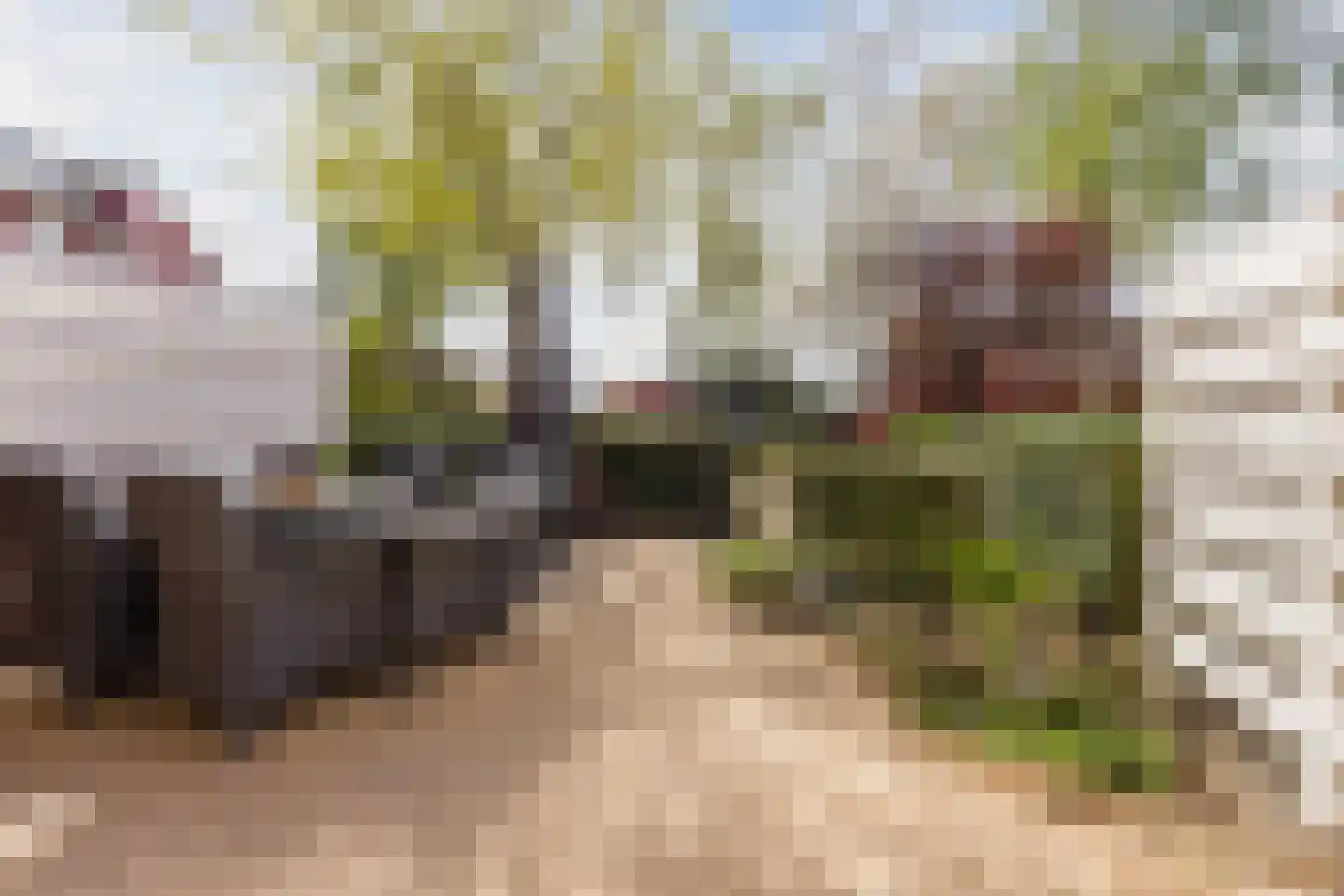 Kalixfors 9 Schiedam thumbnail 34