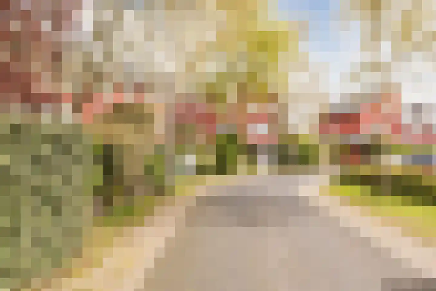 Kalixfors 9 Schiedam thumbnail 38