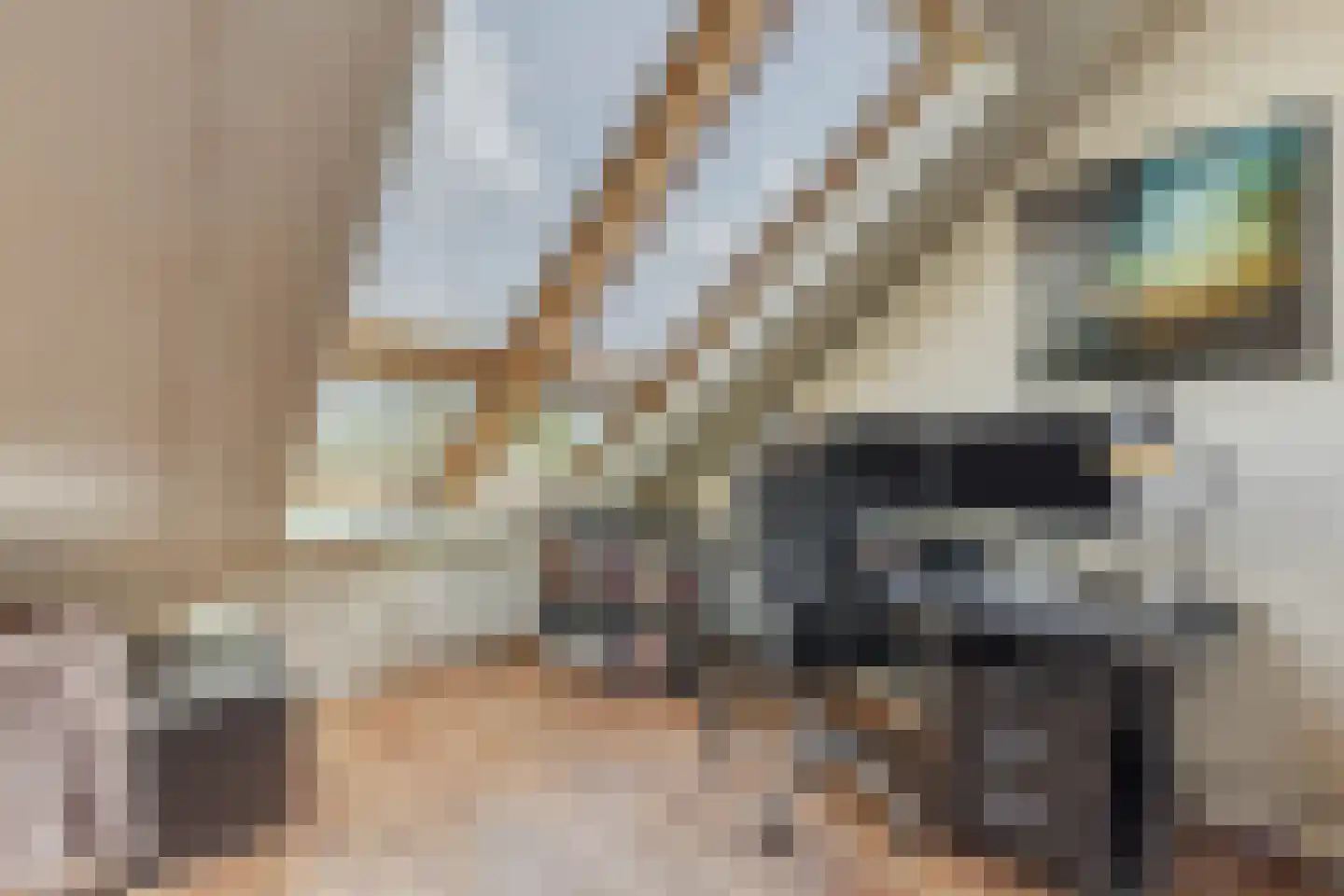 Kalixfors 9 Schiedam thumbnail 4