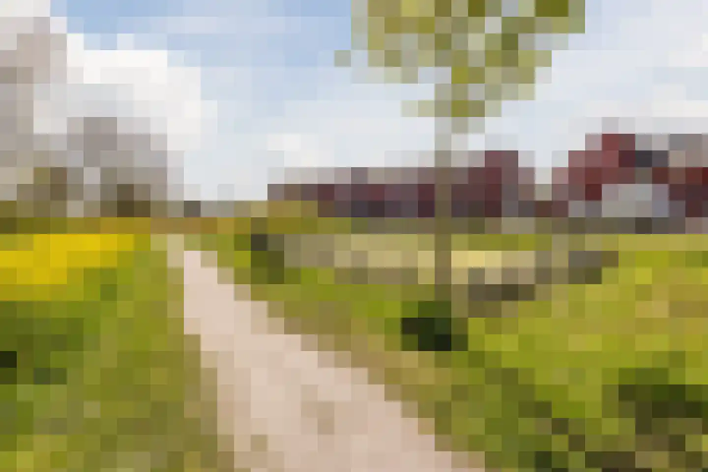Kalixfors 9 Schiedam thumbnail 6