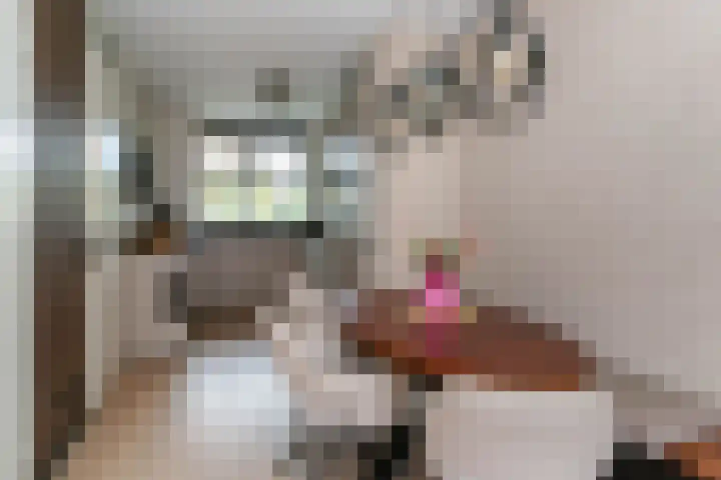 Kalkakker 8 Kortenhoef thumbnail 6