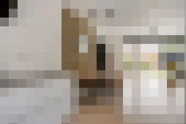 Kalkblusserijstraat 17 Goes thumbnail 10