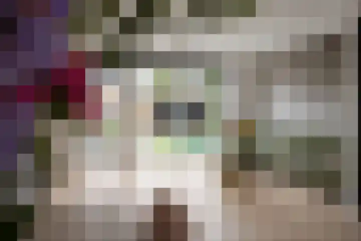 Kalkblusserijstraat 17 Goes thumbnail 11