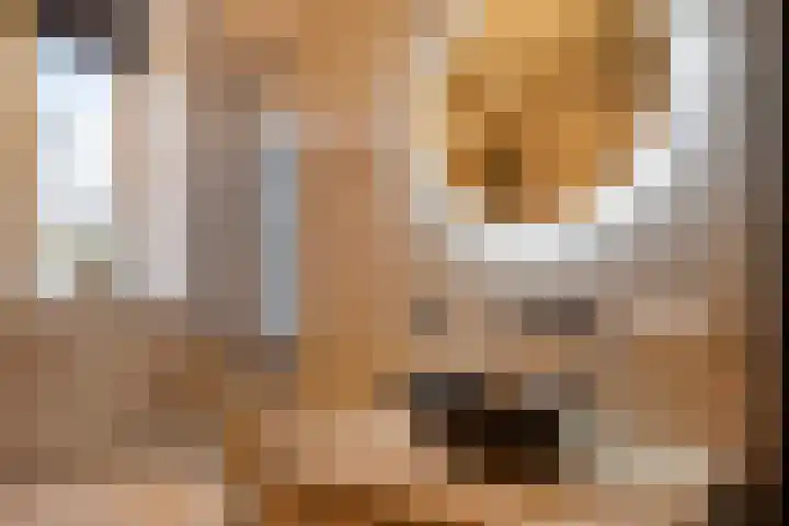 Kalkblusserijstraat 17 Goes thumbnail 14