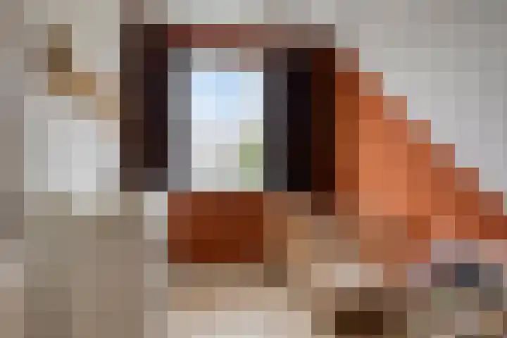 Kalkblusserijstraat 17 Goes thumbnail 17
