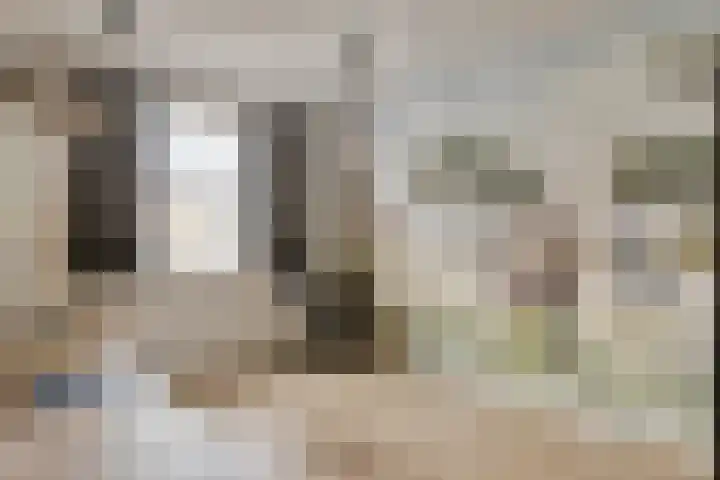 Kalkblusserijstraat 17 Goes thumbnail 18