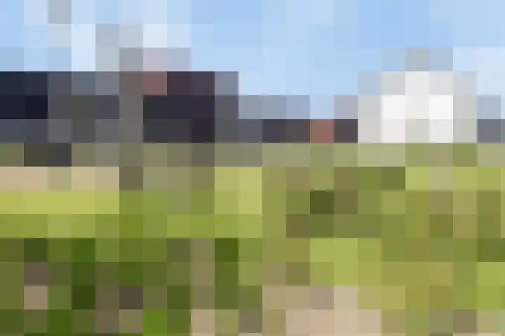 Kalkblusserijstraat 17 Goes thumbnail 31