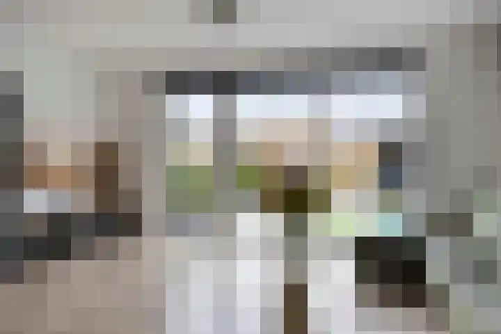 Kalkblusserijstraat 17 Goes thumbnail 4