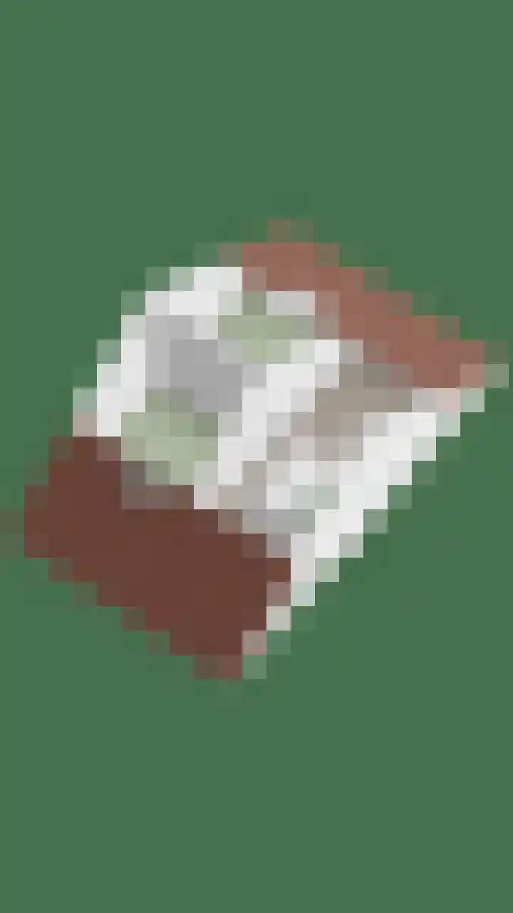 Kalkblusserijstraat 17 Goes thumbnail 40