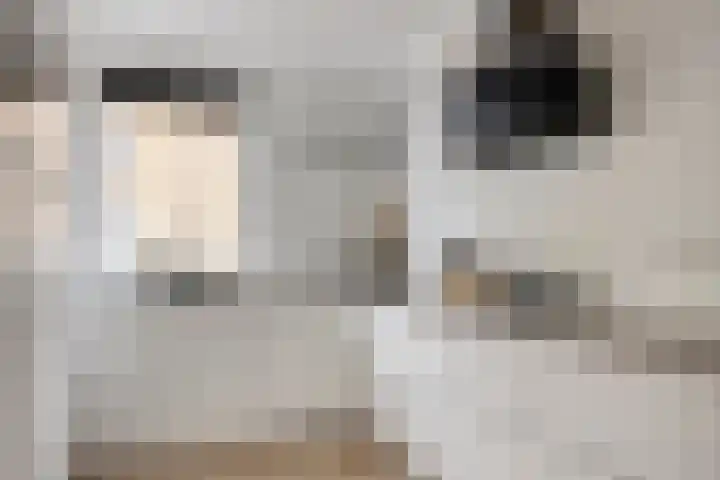 Kalkblusserijstraat 17 Goes thumbnail 9