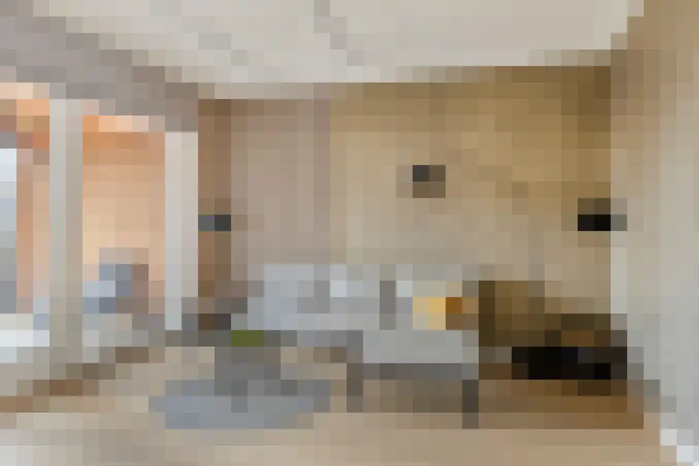 Kalkblusserijstraat 4 Goes thumbnail 10