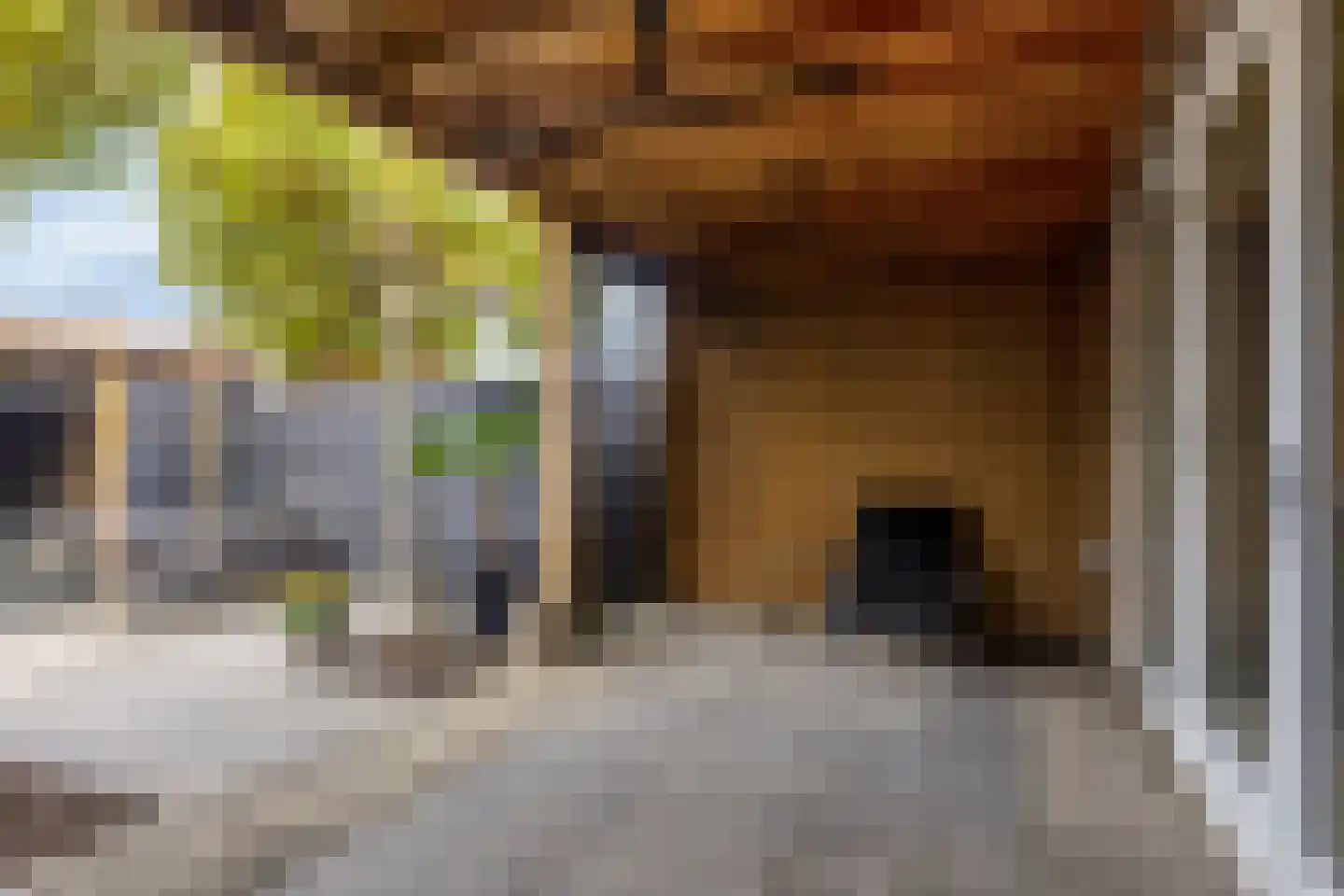 Kalkblusserijstraat 4 Goes thumbnail 32