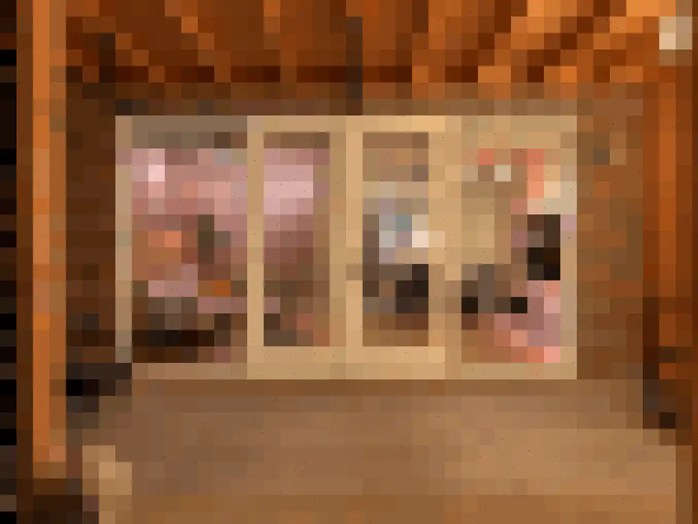 Kalkblusserijstraat 4 Goes thumbnail 34