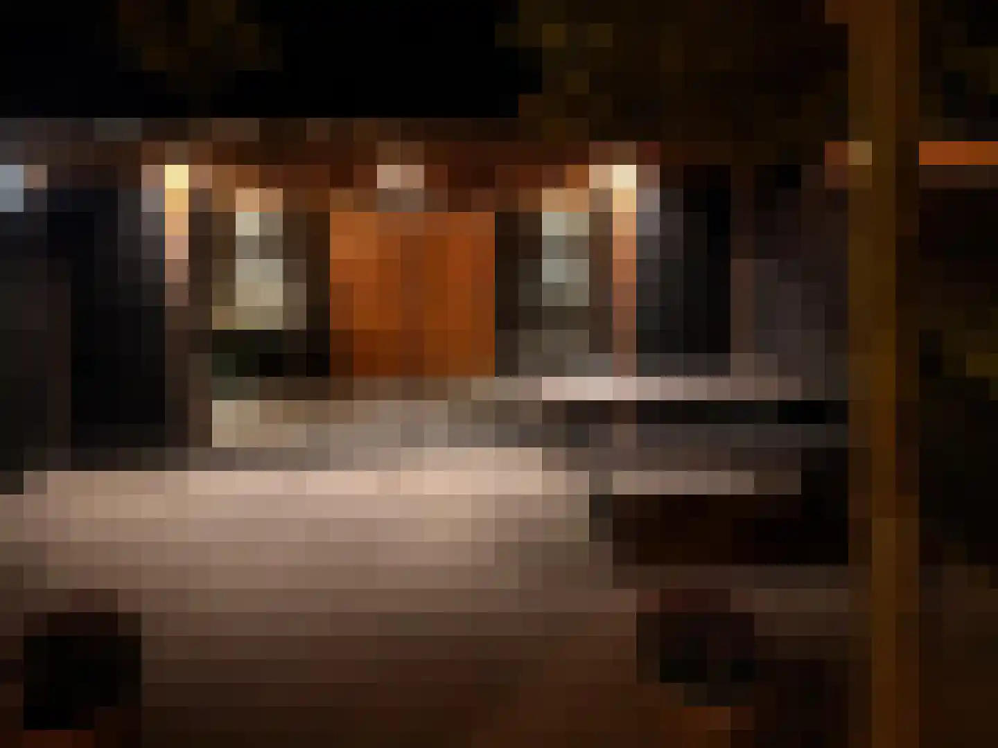 Kalkblusserijstraat 4 Goes thumbnail 41