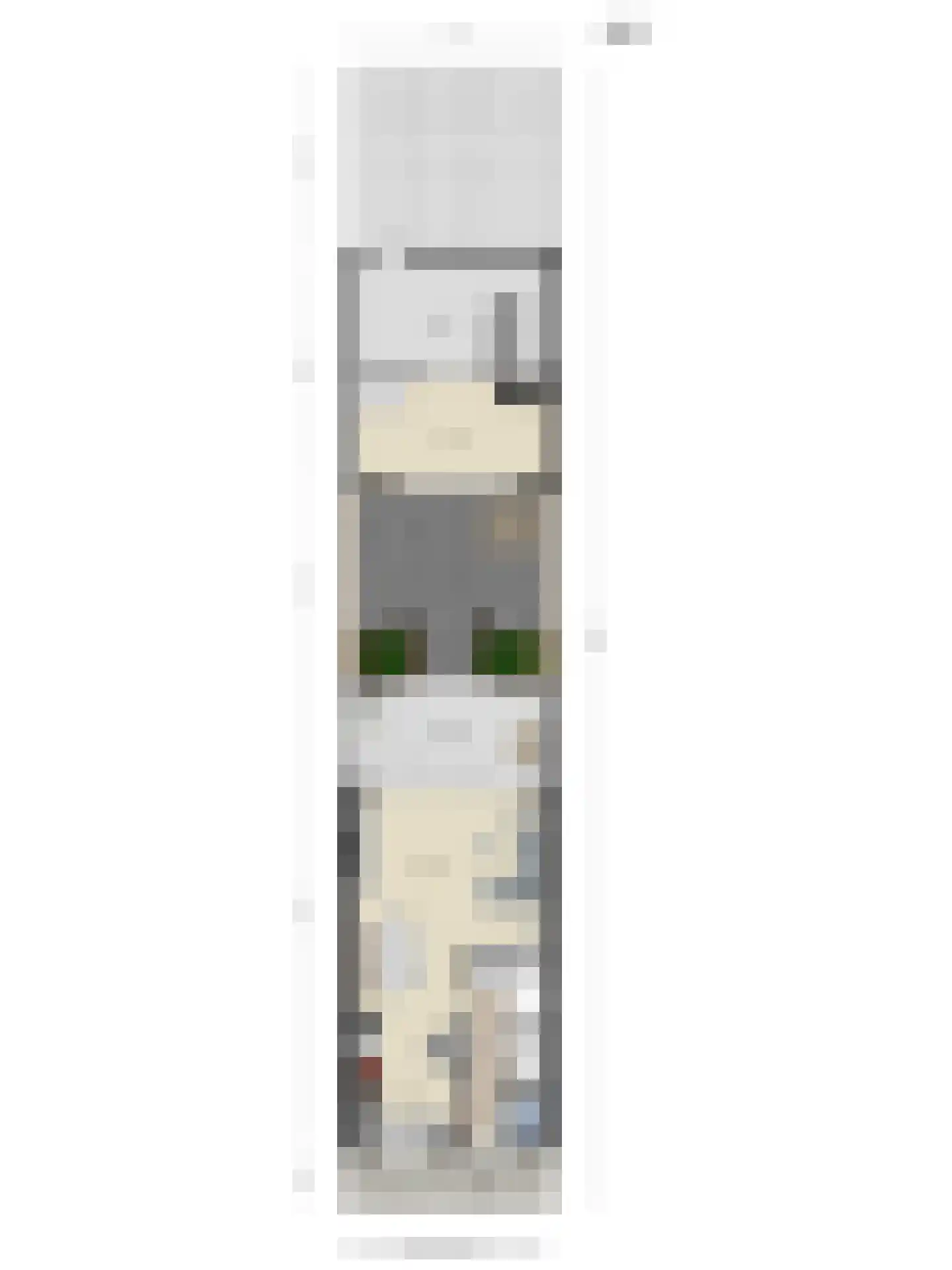Kalkblusserijstraat 4 Goes thumbnail 49
