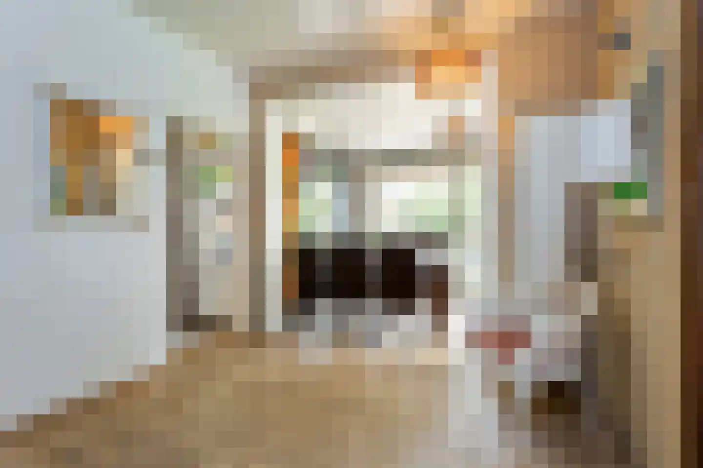 Kalkboei 1 Sluis thumbnail 5