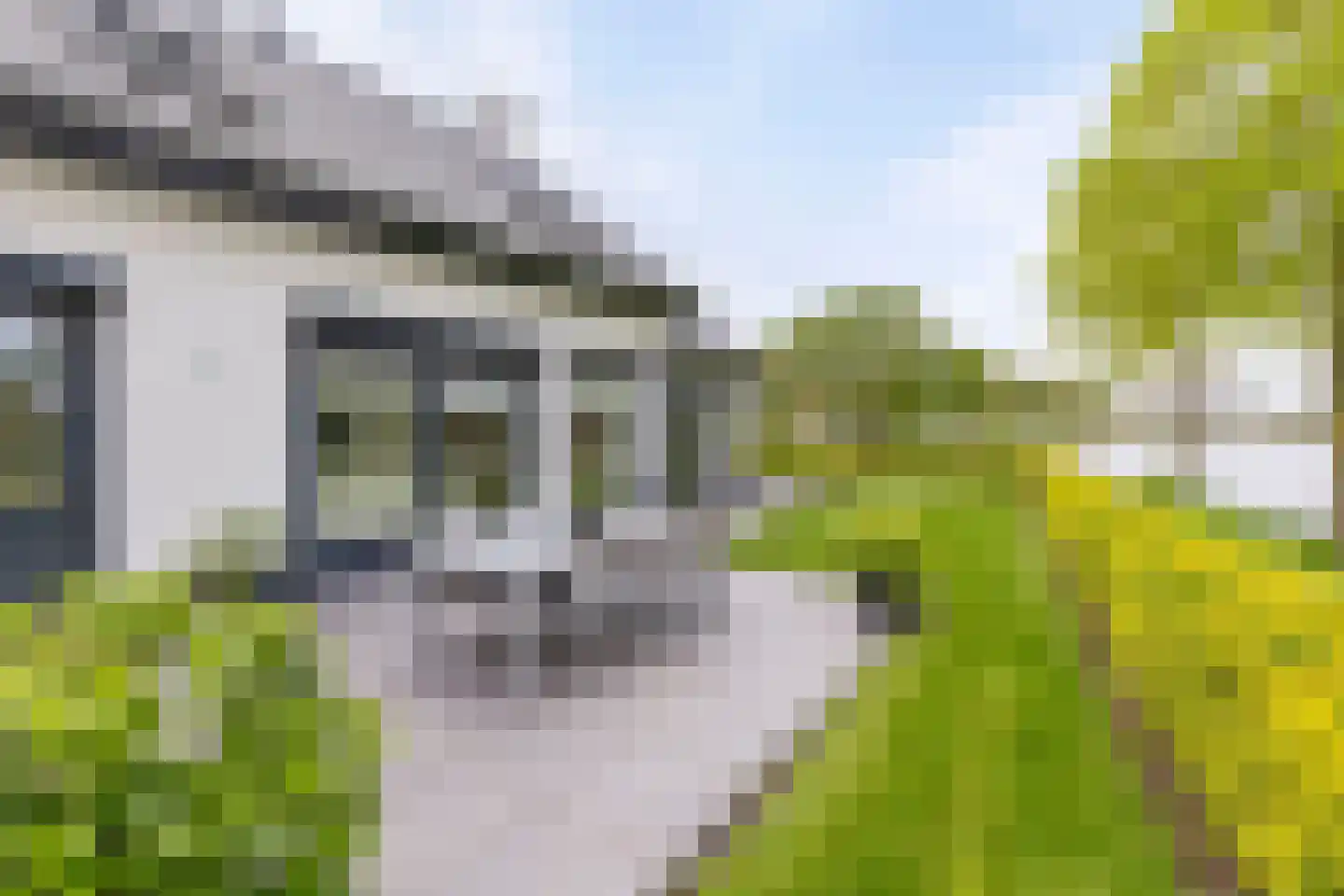 Kalkboei 6 Sluis thumbnail 36