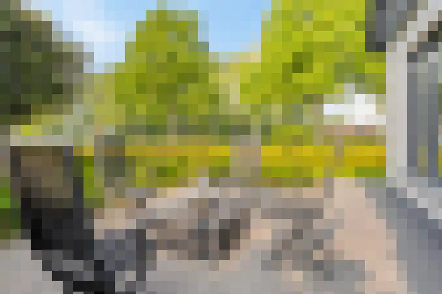 Kalkboei 6 Sluis thumbnail 37