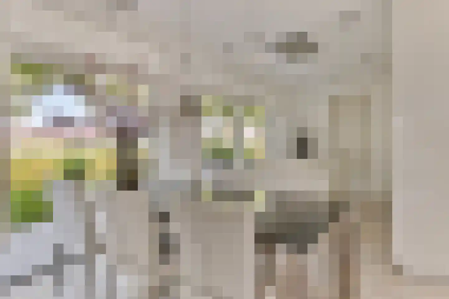 Kalkboei 6 Sluis thumbnail 5