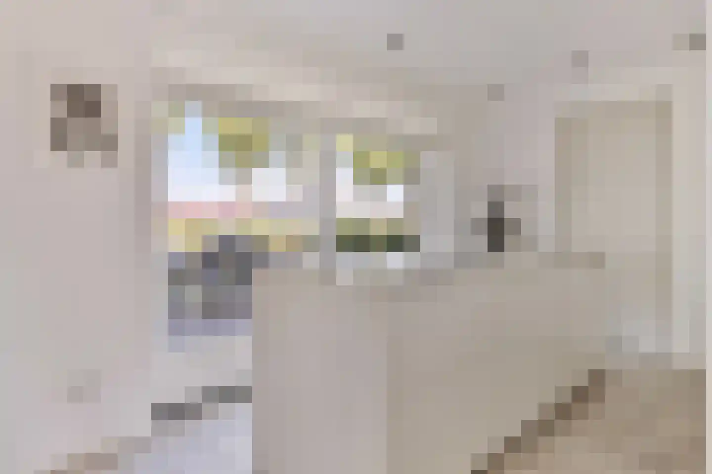 Kalkboei 6 Sluis thumbnail 7