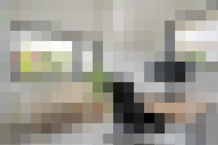 Kalkbranderstraat 1 Zwolle thumbnail 21