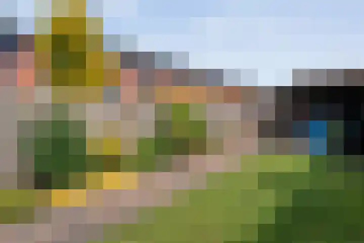 Kalkbranderstraat 1 Zwolle thumbnail 28