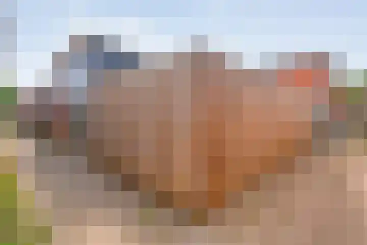 Kalkbranderstraat 1 Zwolle thumbnail 31