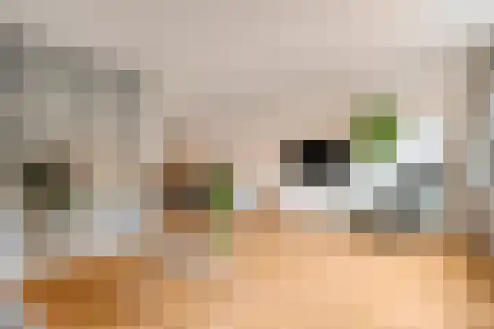 Kalkbranderstraat 10 Zwolle thumbnail 12