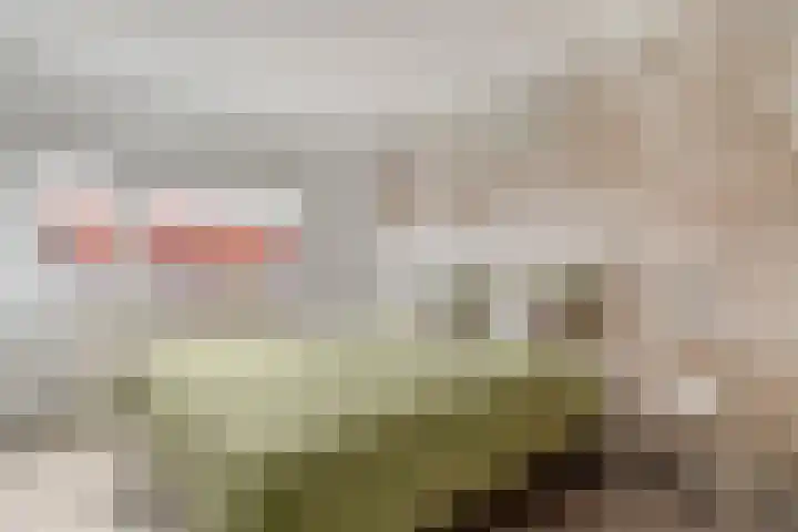 Kalkbranderstraat 10 Zwolle thumbnail 18