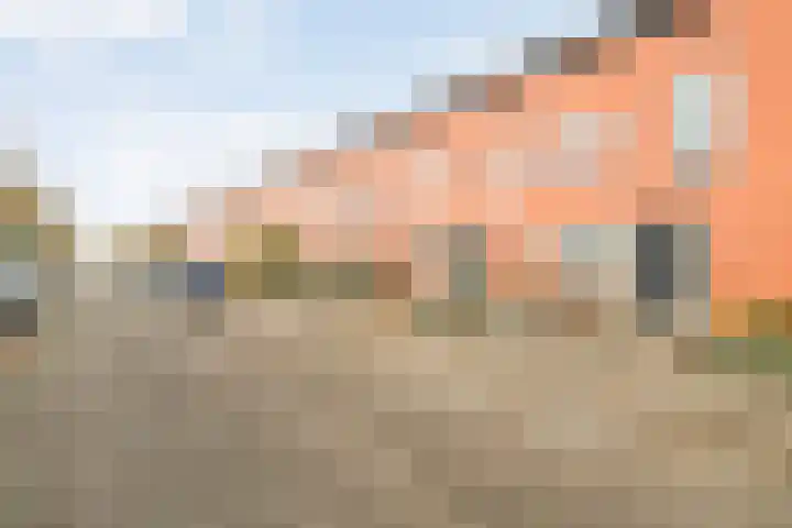 Kalkbranderstraat 10 Zwolle thumbnail 5