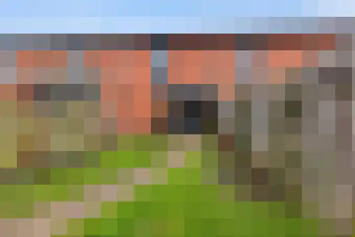 Kalkbranderstraat 15 Zwolle thumbnail 20