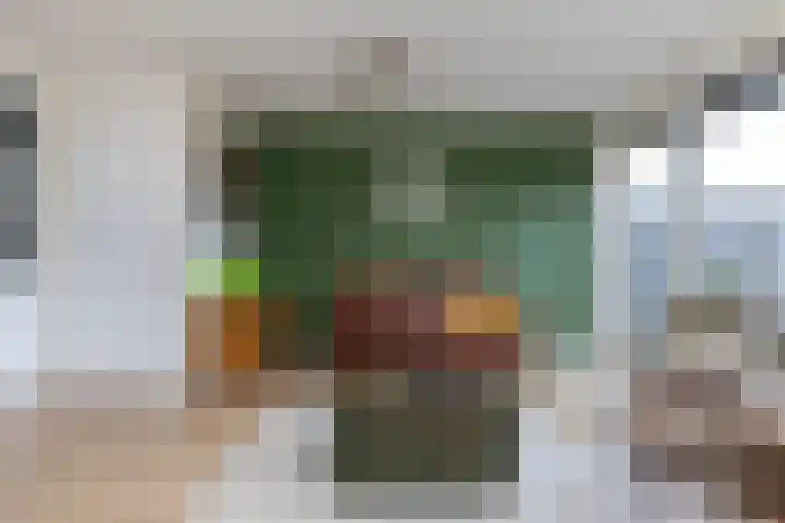 Kalkbranderstraat 15 Zwolle thumbnail 4