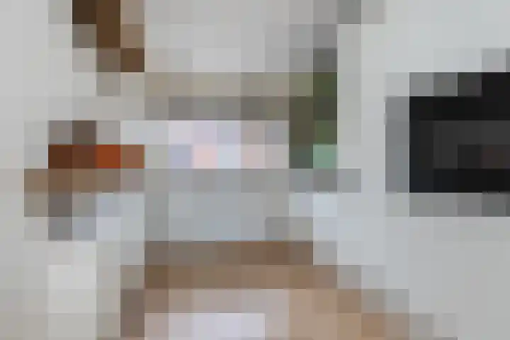 Kalkbranderstraat 15 Zwolle thumbnail 7