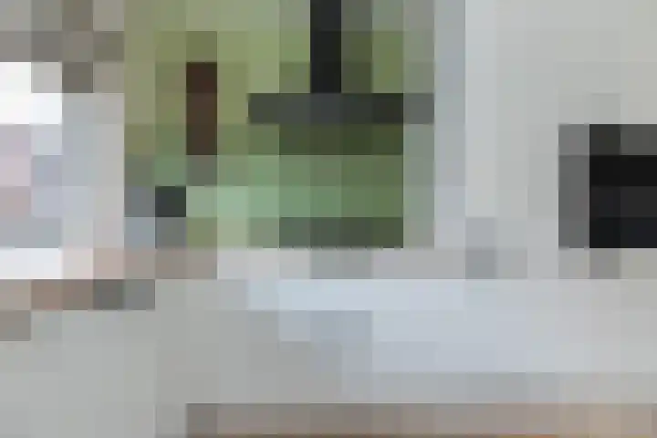 Kalkbranderstraat 15 Zwolle thumbnail 8