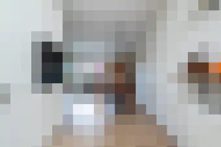 Kalkbranderstraat 15 Zwolle thumbnail 9